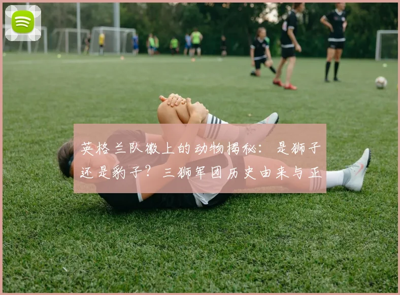 英格兰队徽上的动物揭秘：是狮子还是豹子？三狮军团历史由来与正确解读