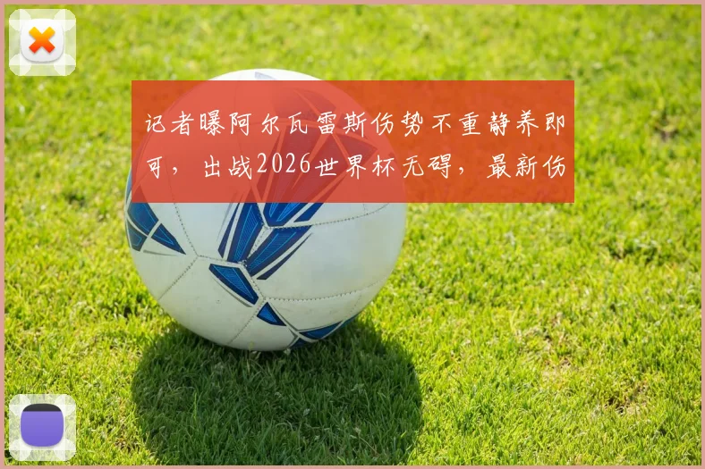 记者曝阿尔瓦雷斯伤势不重静养即可，出战2026世界杯无碍，最新伤情分析与前景解读